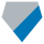 Detroit Lions